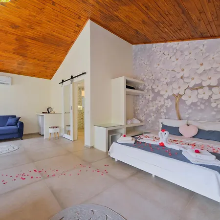 Larimar 2* Ολουντενίζ