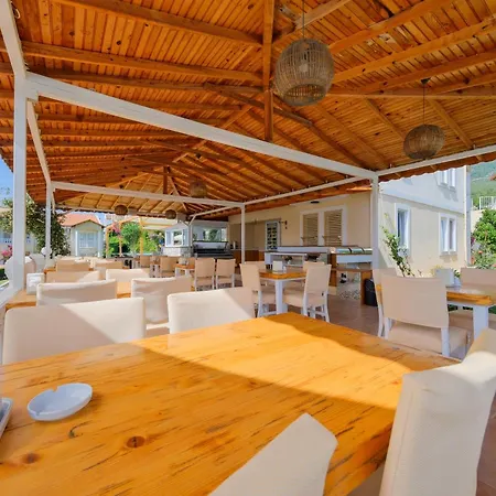 Larimar 厄吕代尼兹